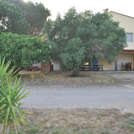 Villa Mas De La Vignassa à Le Soler Extérieur photo